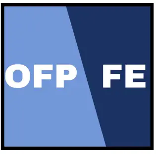 Logo website